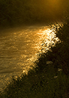 Dreamscapes Gallery - A River of Molten Gold at Dusk